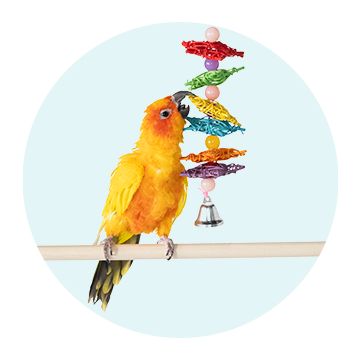 Yellow bird playing with an All Living Things Willow Starburst Bird Toy
