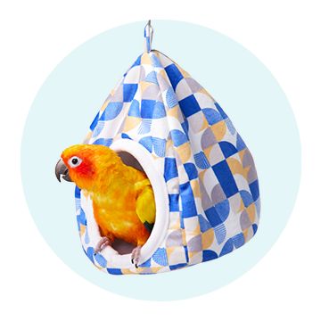 A yellow bird in a blue and yellow All Living Things Hanging Nest Bird Hut