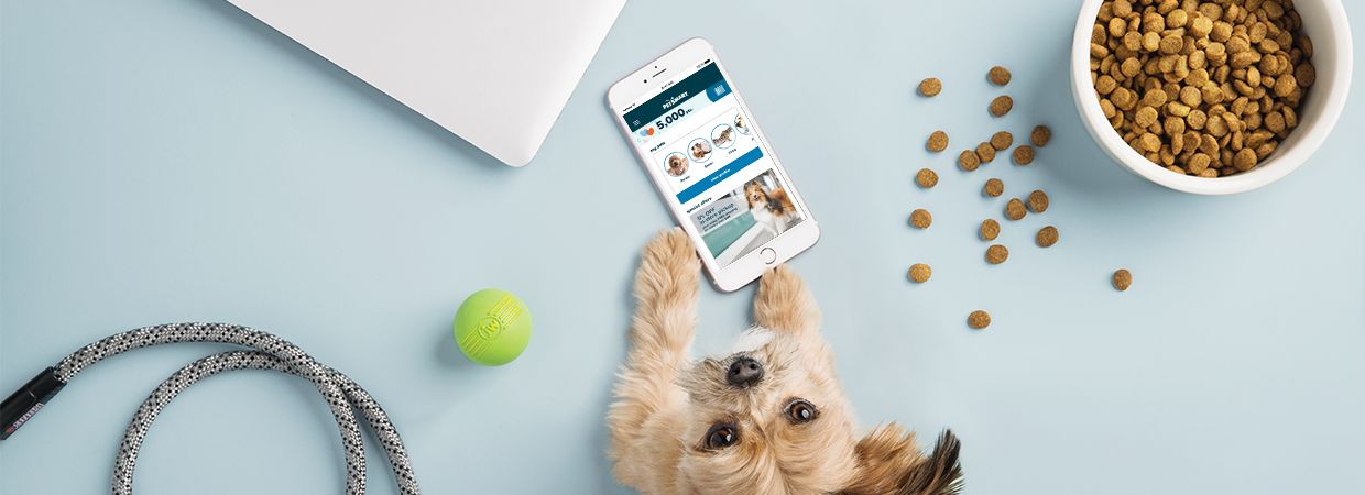 Petsmart app shop