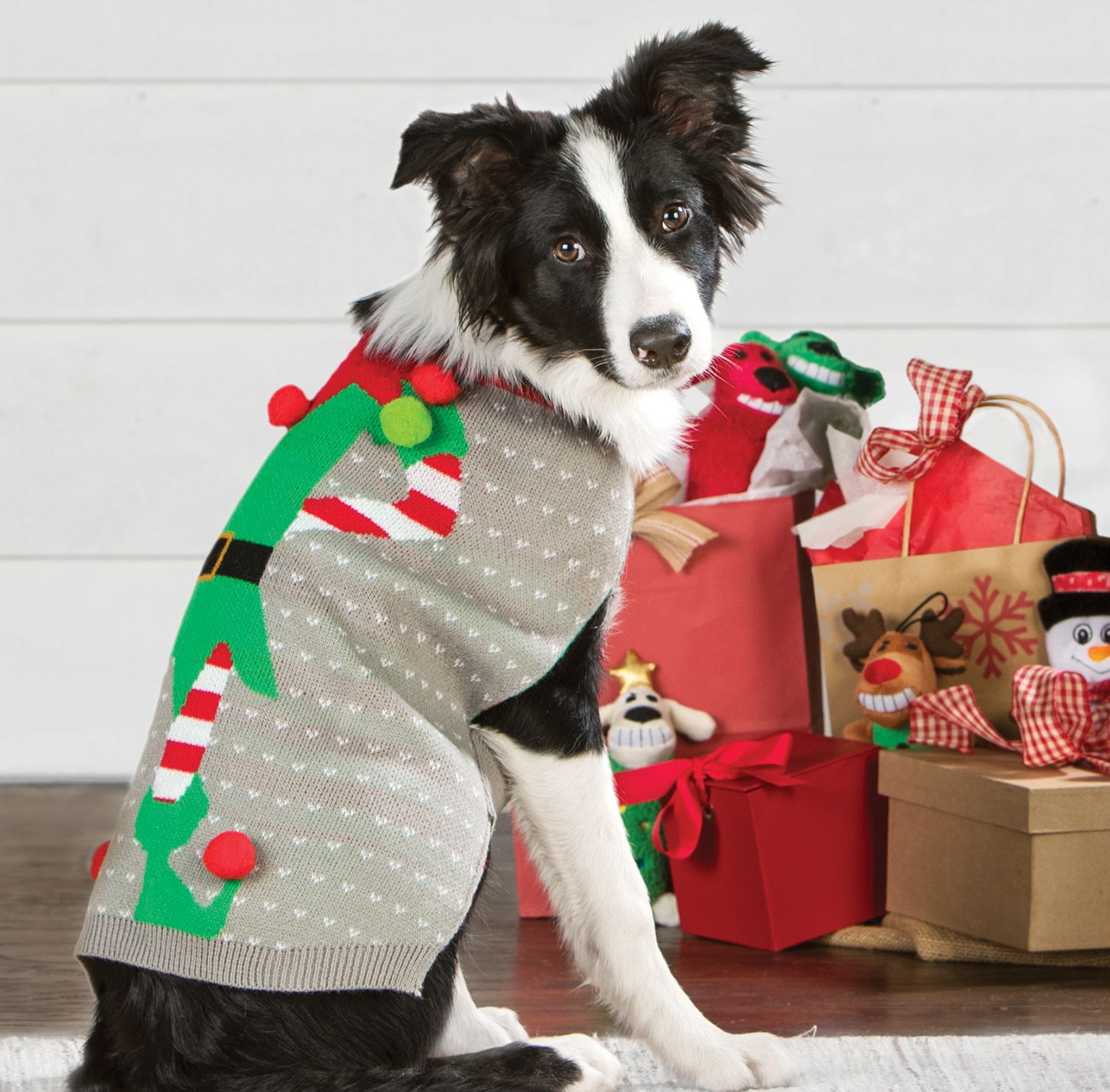 Do You Buy Your Dog Holiday Gifts? - Vetstreet