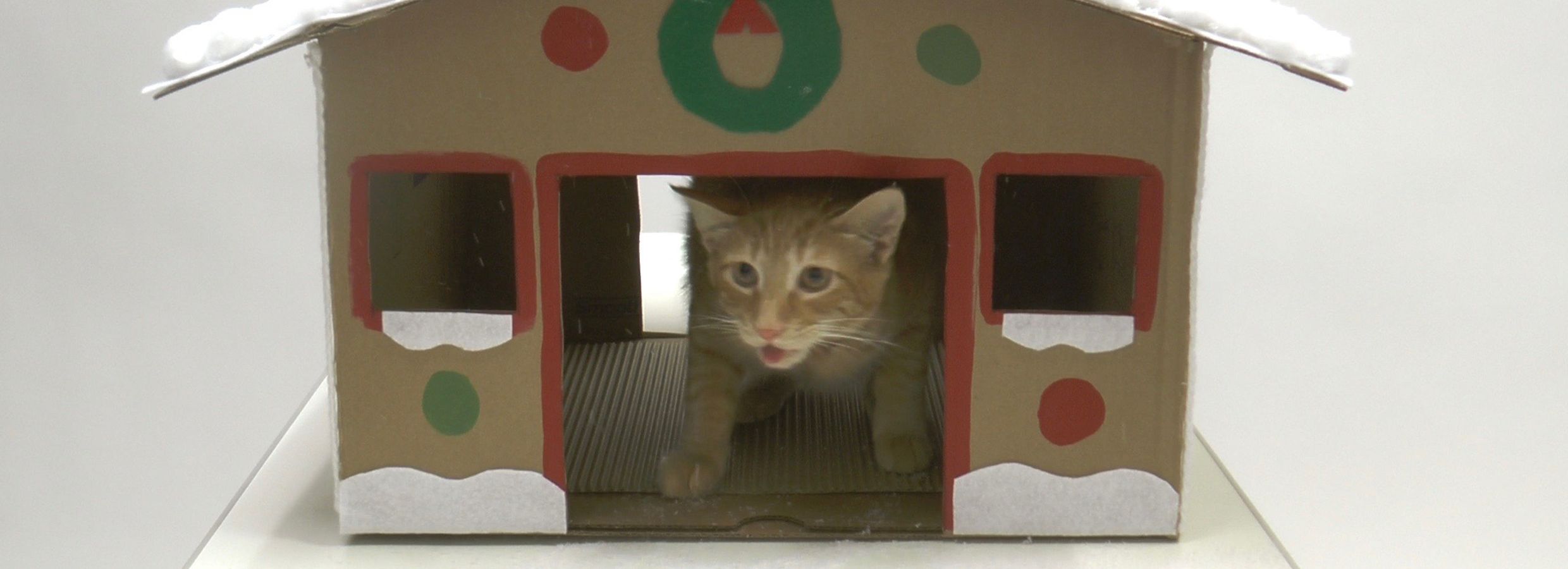 gingerbread cat house