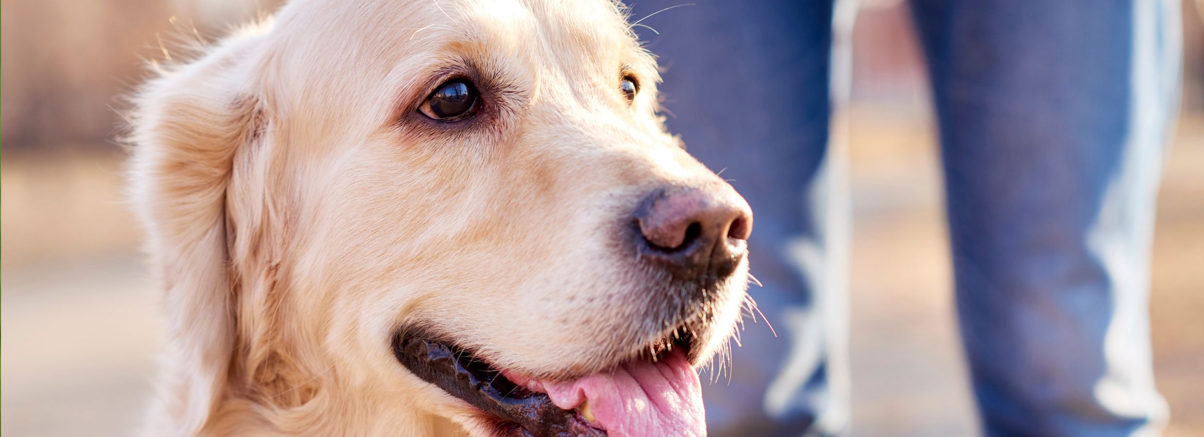 petsmart dog poop bags