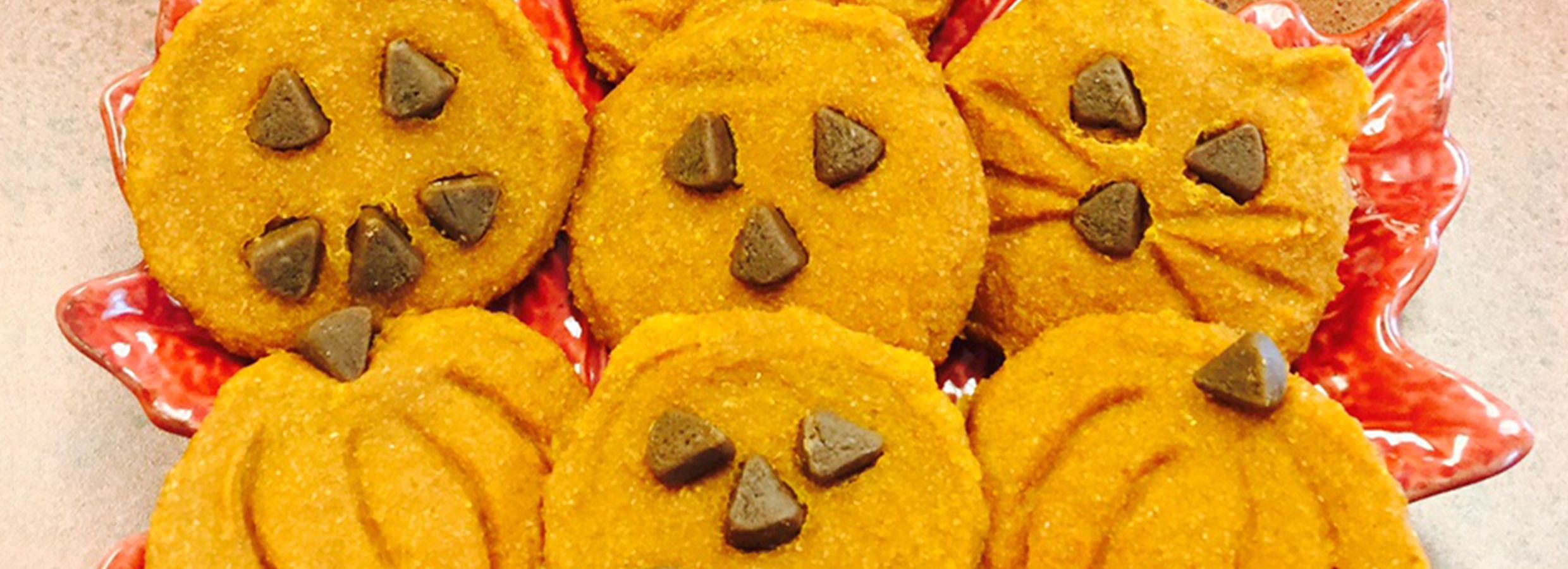 Pumpkin Cookie Recipe for Dogs PetSmart