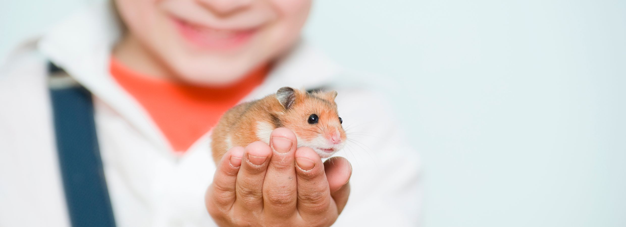 Teaching Children to Care for Small Pets