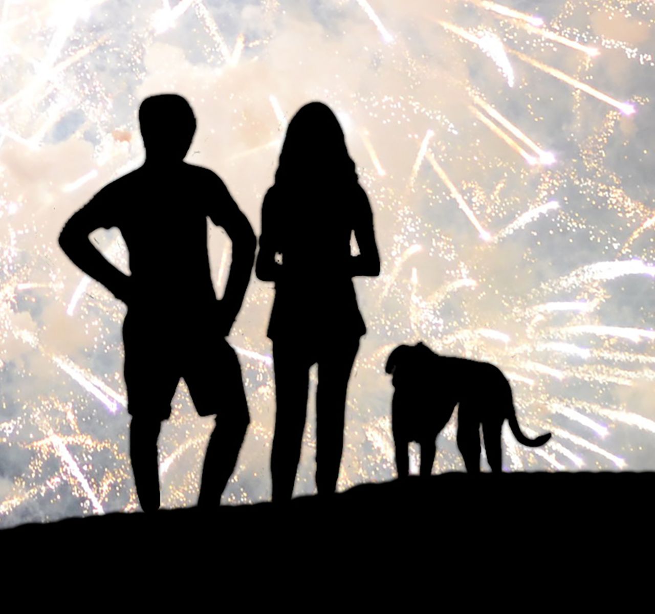 Why Dogs Hate the Fourth of July