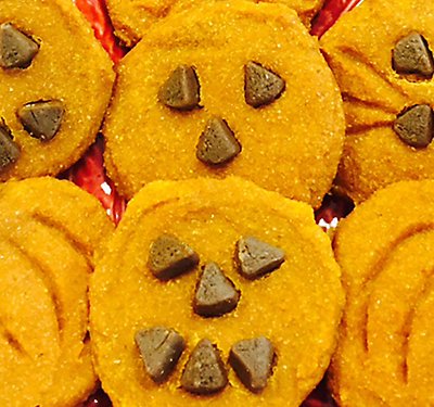 Pumpkin Cookie Recipe for Dogs