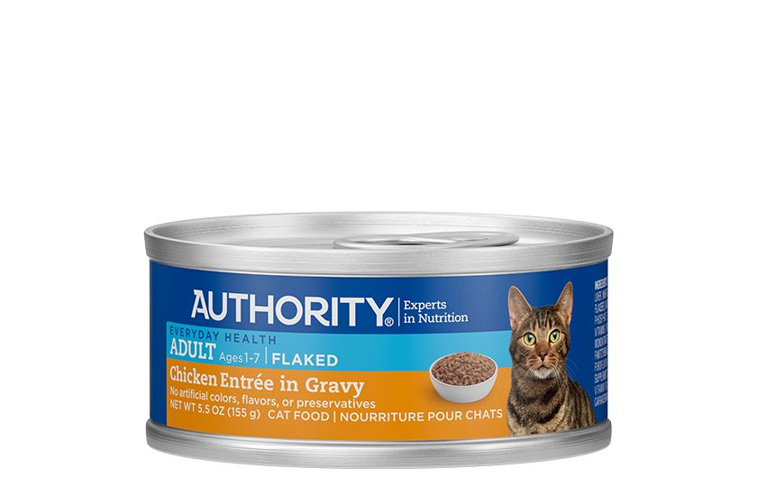Authority Cat Kitten Food Petsmart