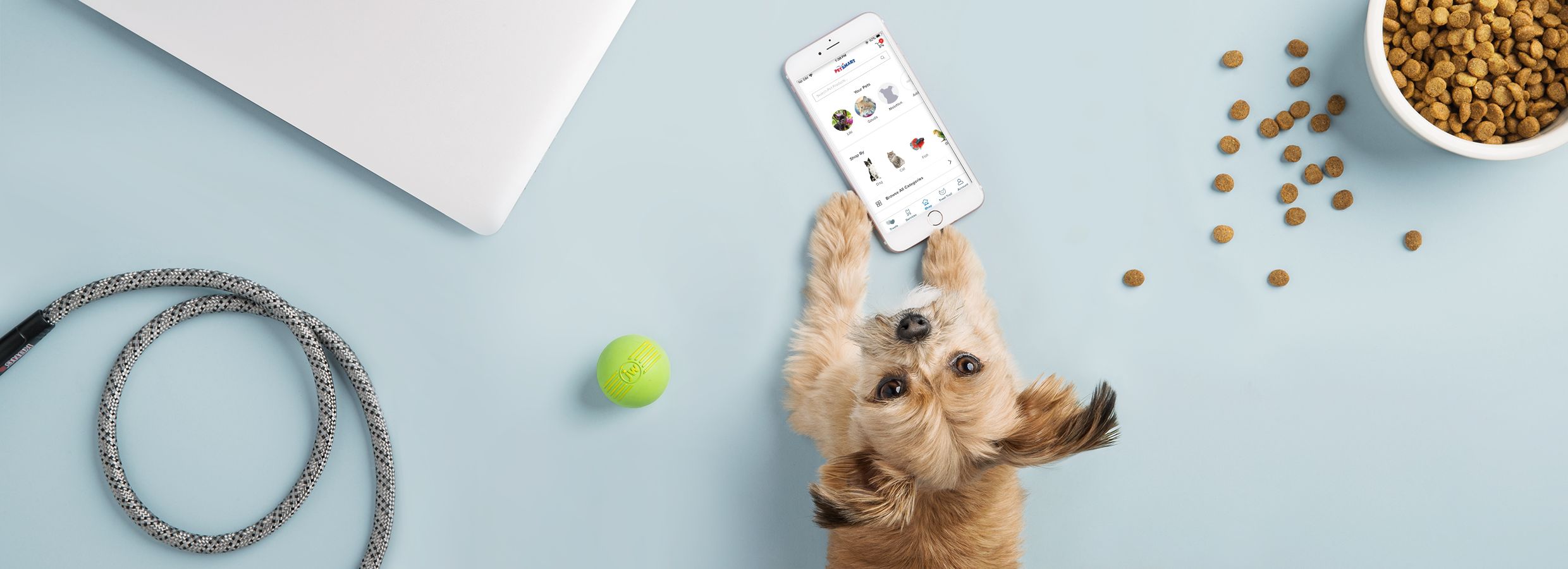 Petsmart rewards 2024 phone number