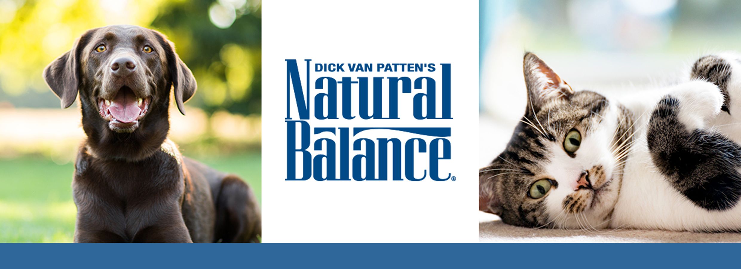 natural balance dog food canada