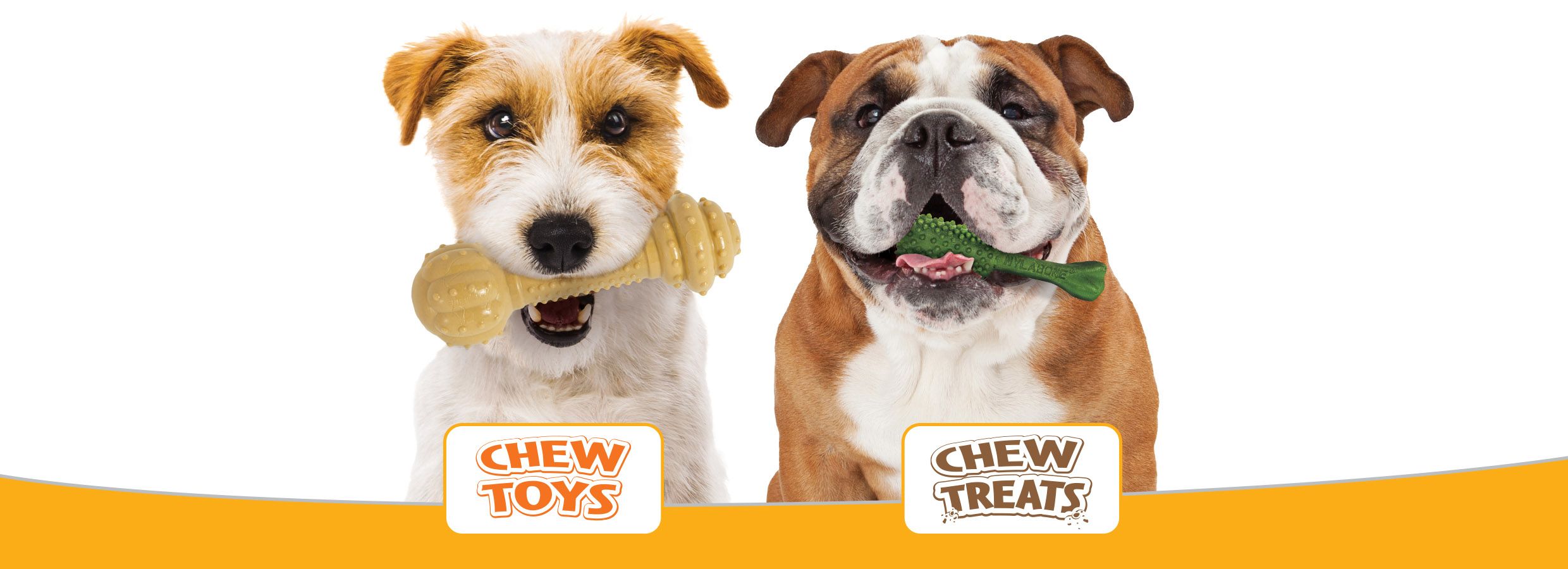 nylabone dog chews