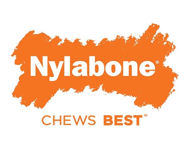nylabone xxl