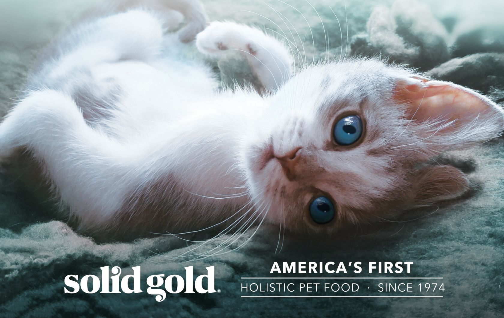 petsmart solid gold cat food