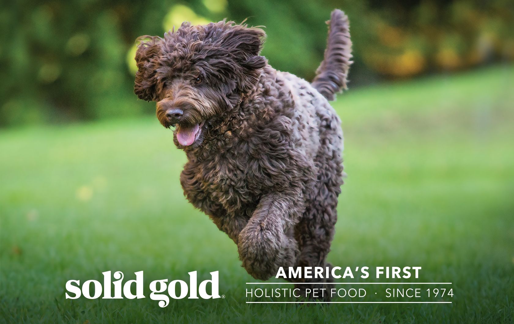 does petco sell solid gold dog food