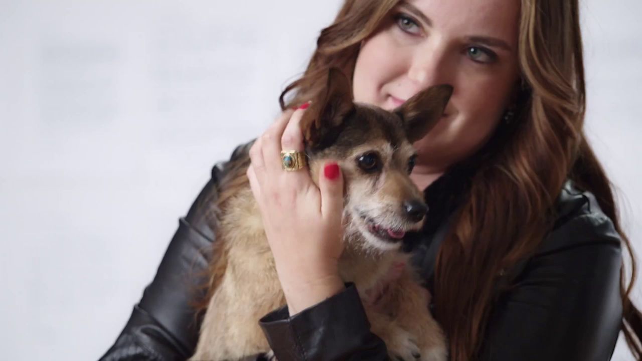 refrigerated dog food petsmart