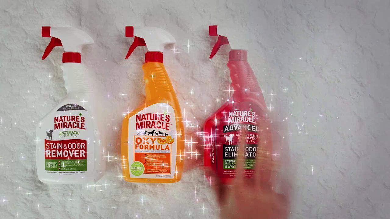 petsmart nature's miracle urine destroyer