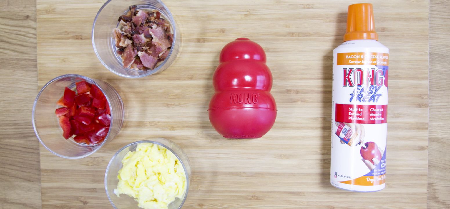 petsmart kong easy treat