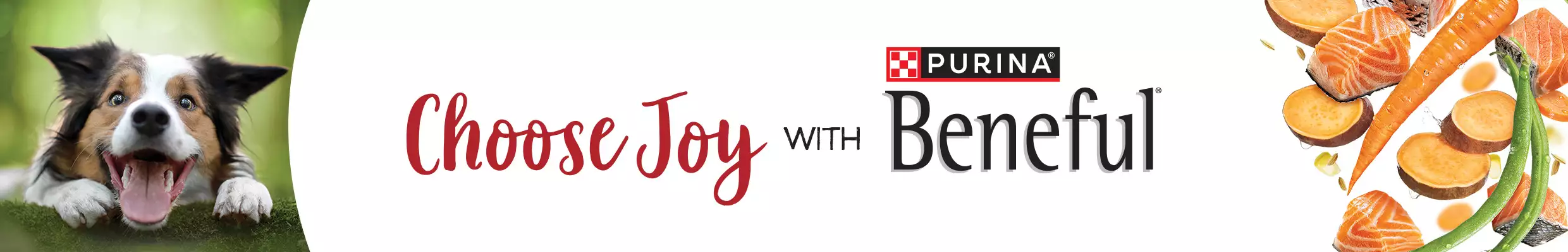 Choose joy with Purina Beneful 