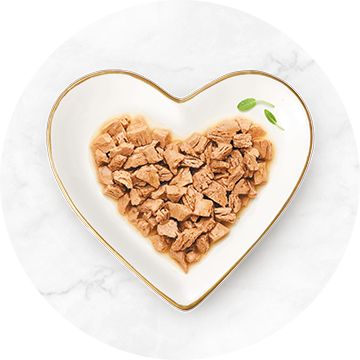 white heart shaped bowl with a gold rim filled with chunks of chicken wet cat food