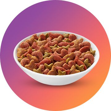 bowl of dry cat food on colourful background