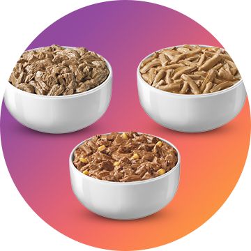 three bowls of different types of cat food on colourful background