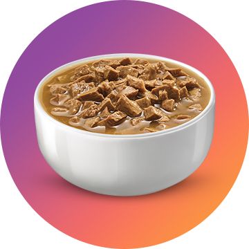 bowl of wet cat food on colourful background