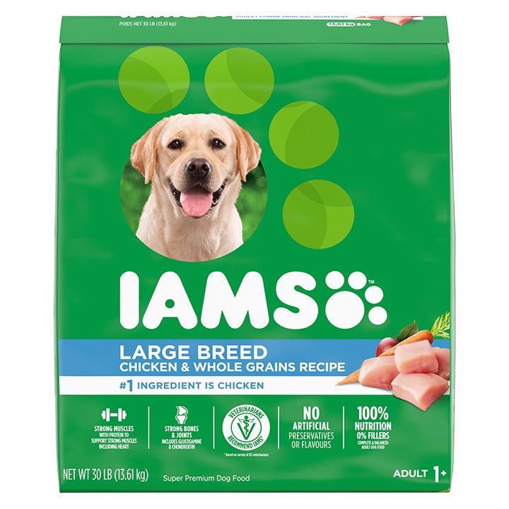 iams dry dog food