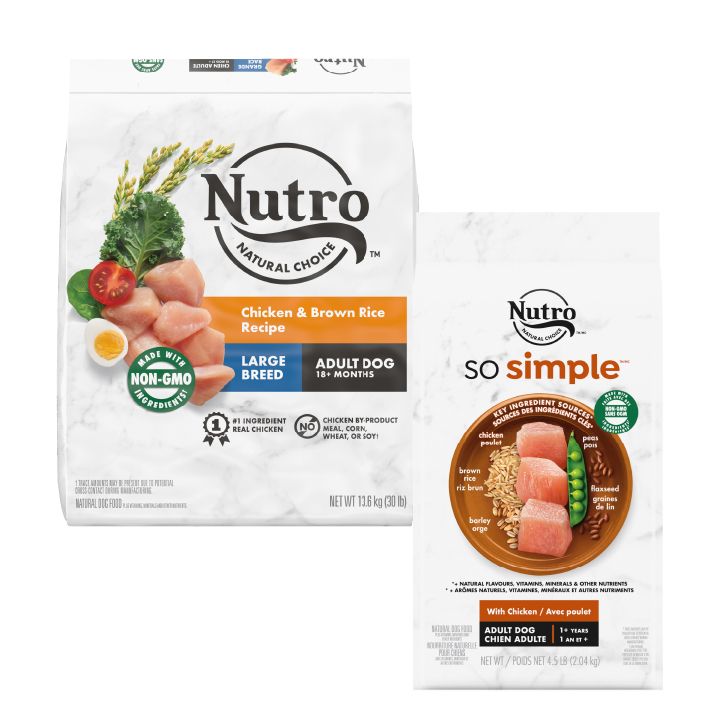 Petsmart nutro 2025 dog food