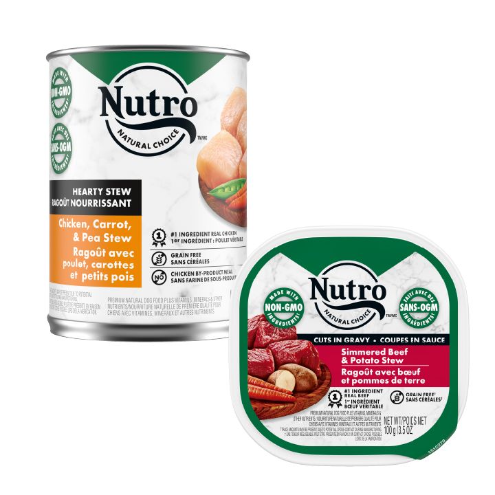 Petsmart nutro 2025 dog food