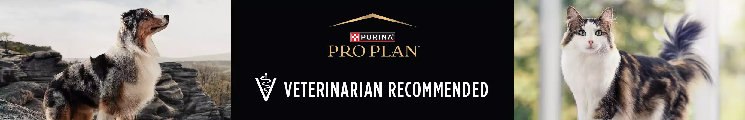 purina pro plan logo with veterinarian recommended callout next to image of cat and dog