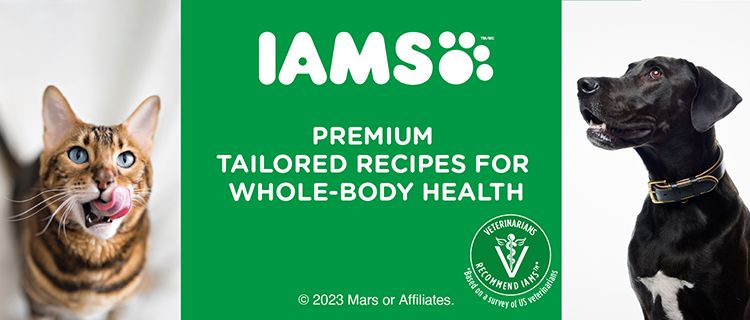 iams brand shop banner with cat and dog
