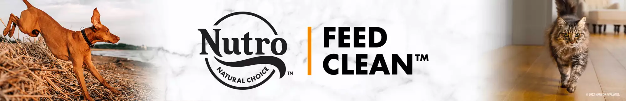 nutro feed clean cat and dog