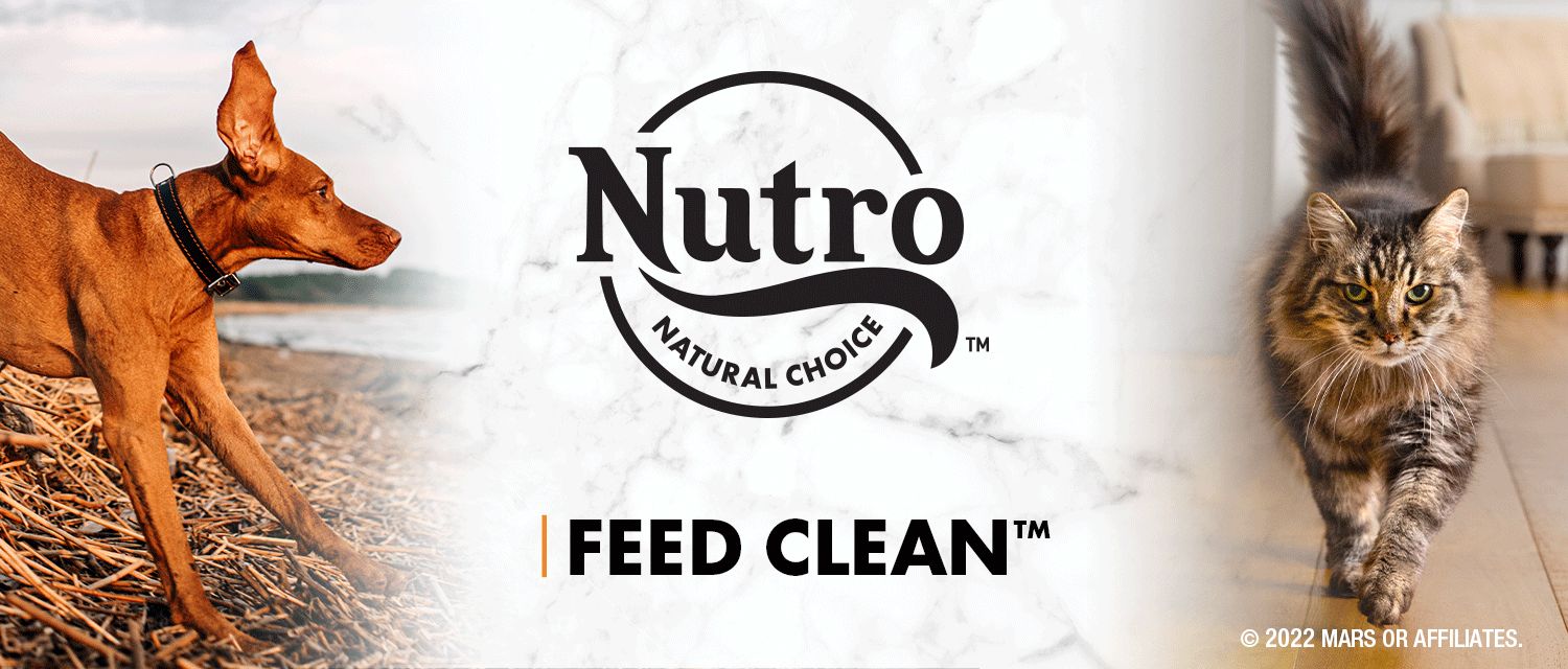 nutro feed clean cat and dog