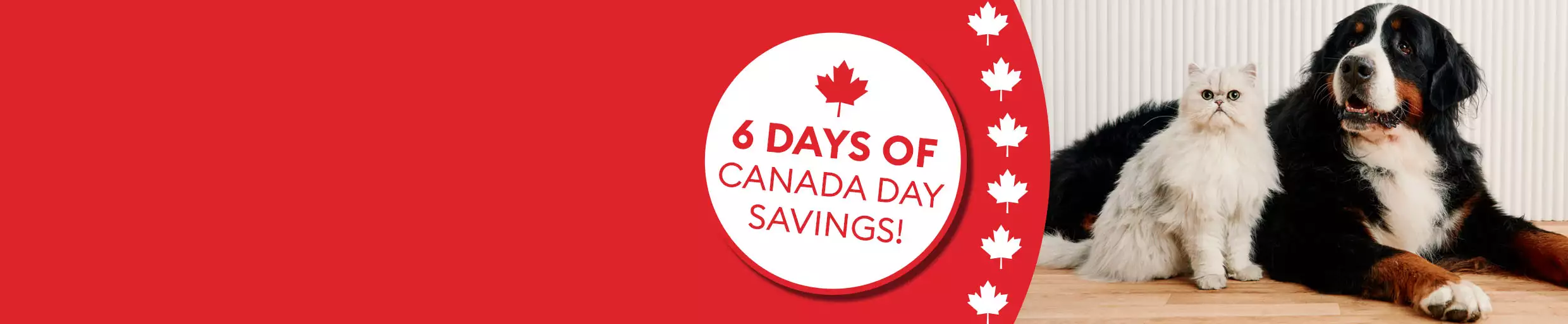 dog and cat sitting together - 6 days of Canada day savings