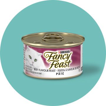 Fancy Feast Cat Food Kitten Food Treats PetSmart Canada