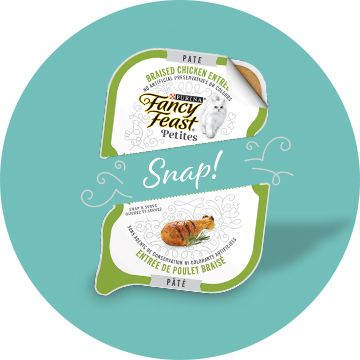 Fancy feast outlet single can