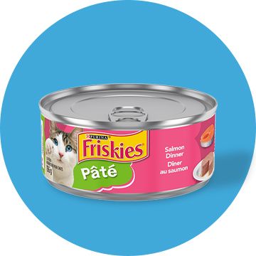 Friskies lil hotsell soups petsmart