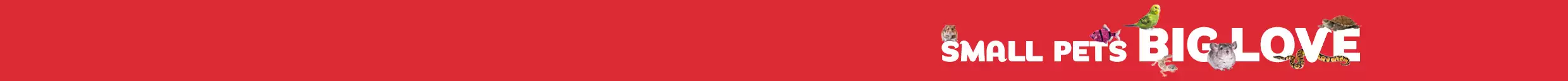 Red background small pets