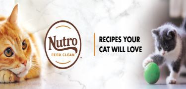 NUTRO™ Cat Food