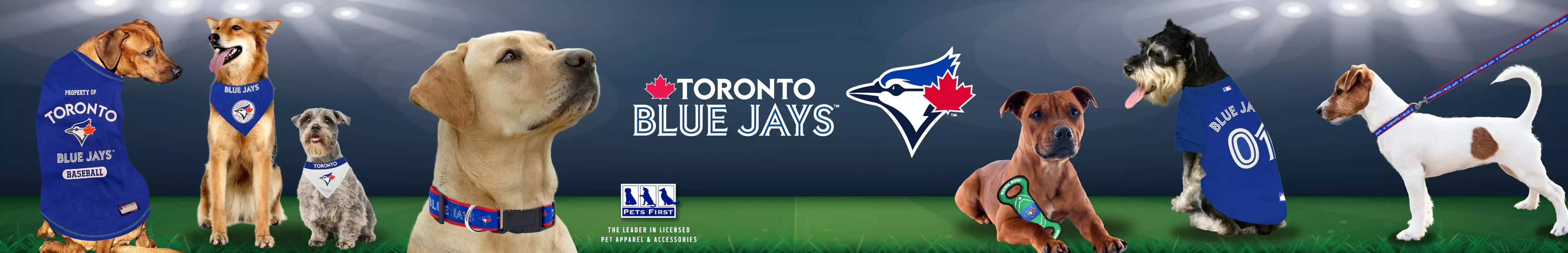 Toronto Blue Jays landing page banner with dogs wearing Blue Jays merch