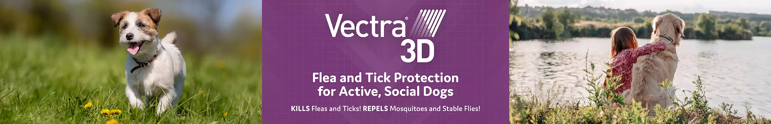 dog running in grass and child sitting with dog by lake for vectra 3D flea and tick prevention