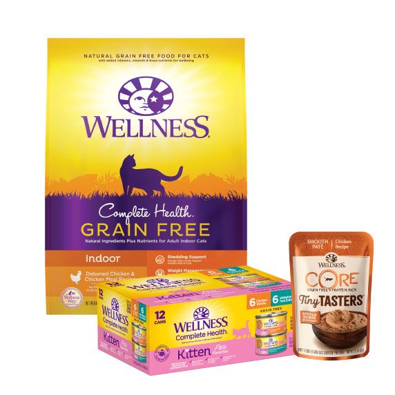 Petsmart wellness cheap puppy