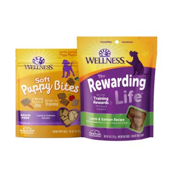 Wellness dog sale food at petsmart