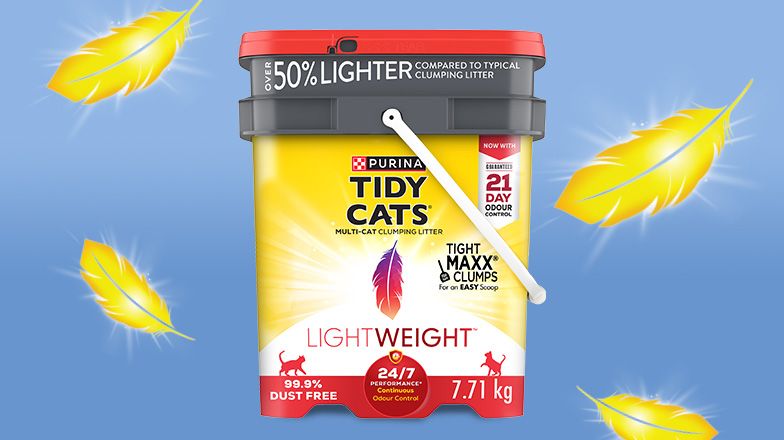 container of tidy cats lightweight 24/7 cat litter