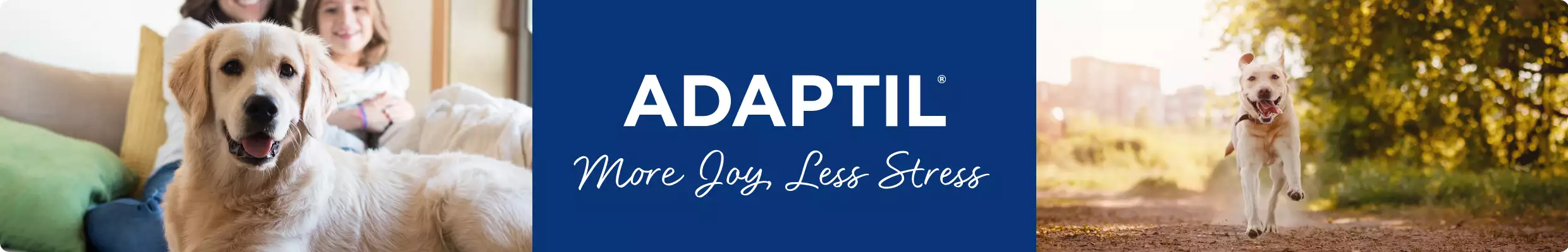 Adaptil junior petsmart best sale