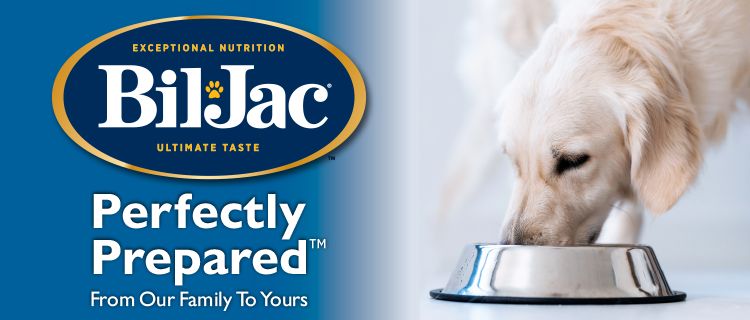 blue bil jac perfectly prepared brand shop banner with dog