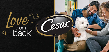 Cesar dog food petsmart sale