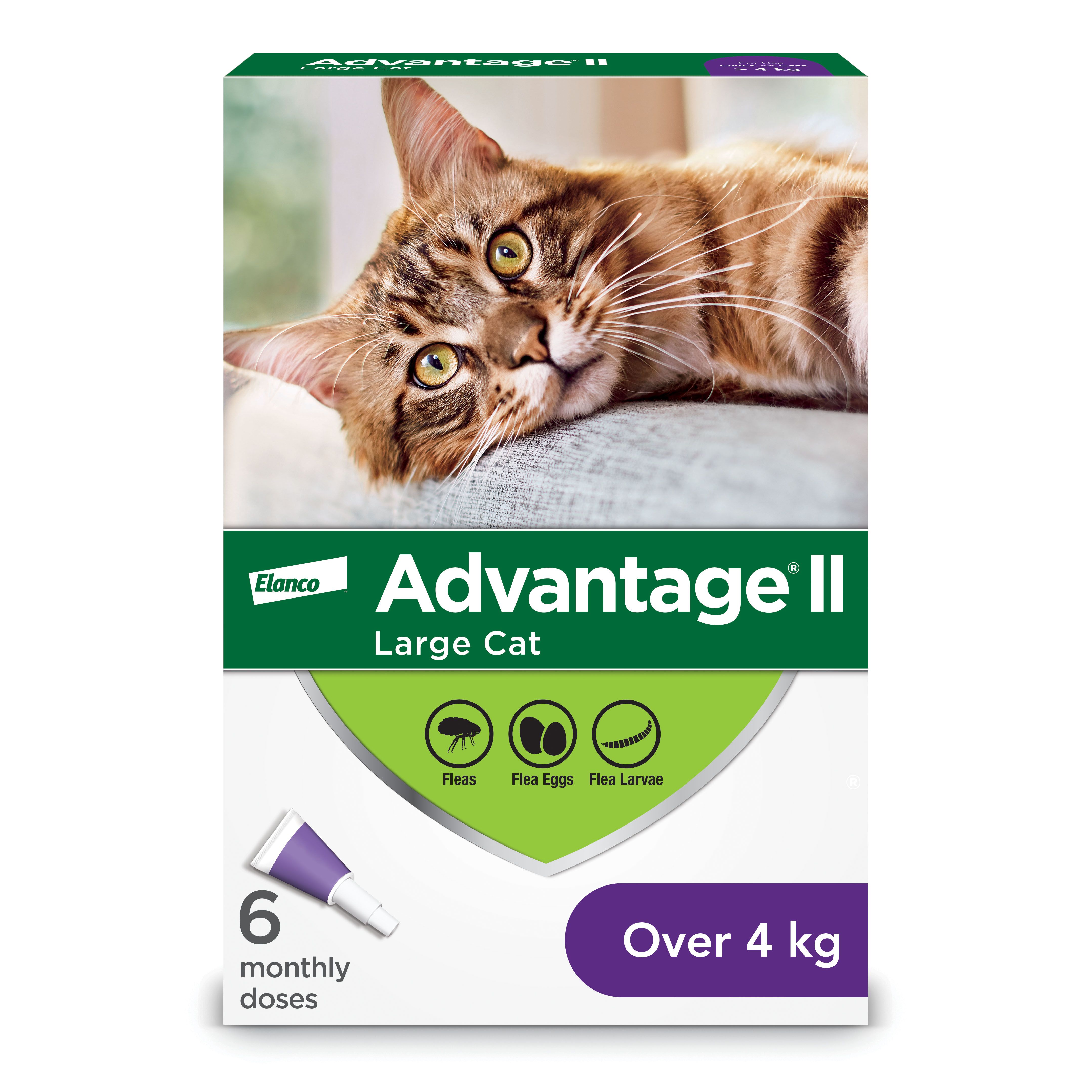 Advantage Cat pack image