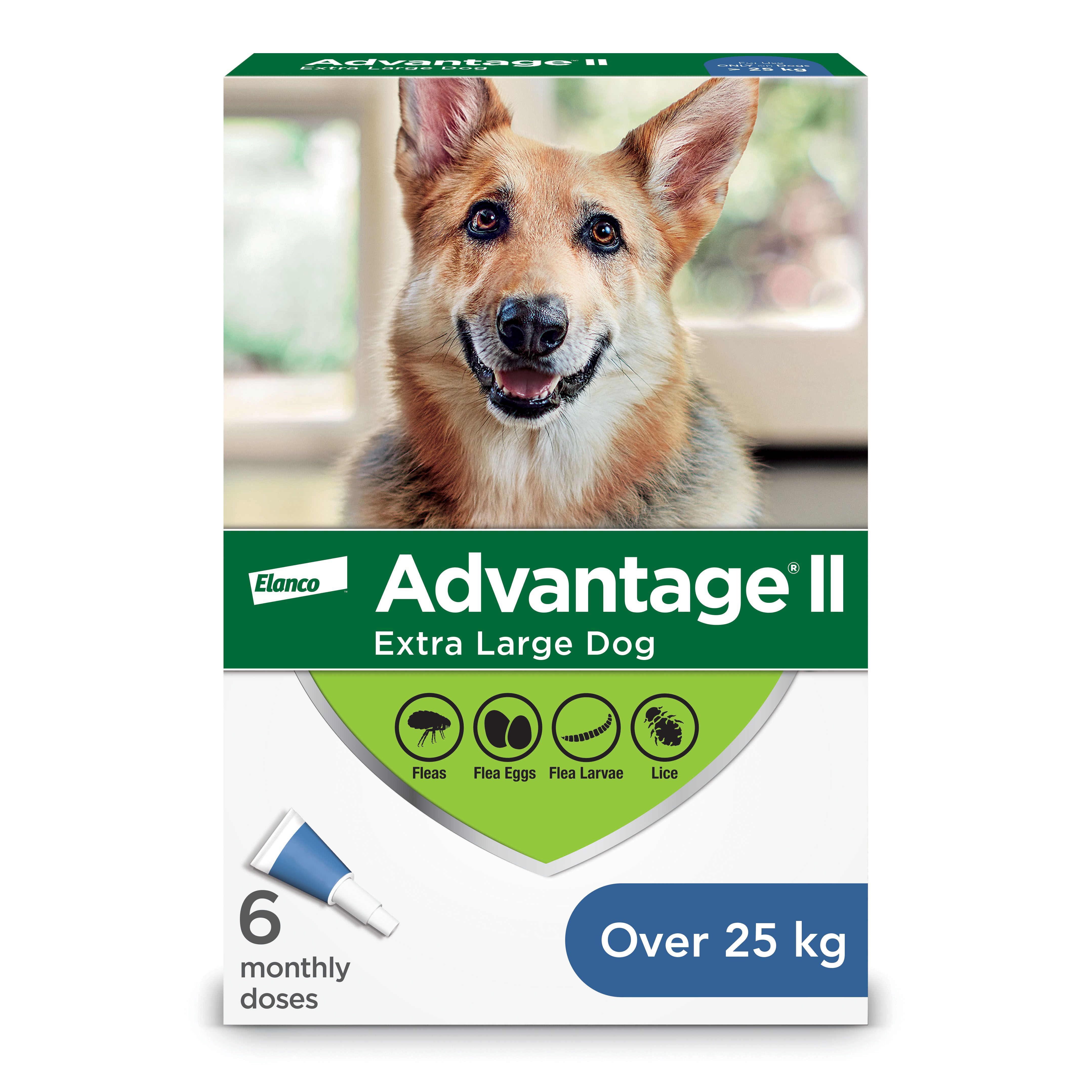 Advantage II dog pack