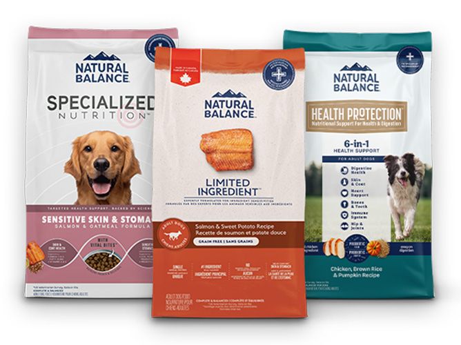 Three bags of Natural Balance Dog Food Dry Bags Made in Canada Limited Ingredients