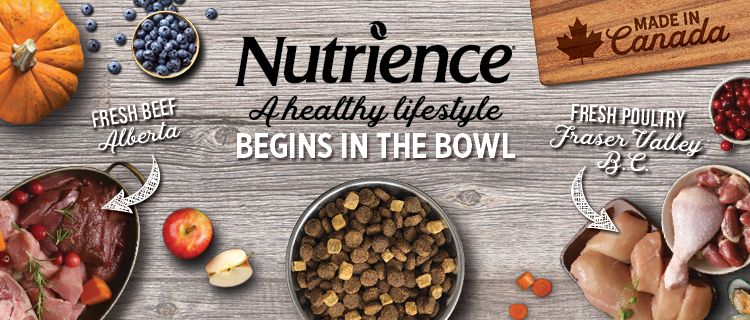 Nutrience Brand shop banner